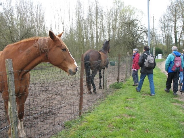 2007 03 Rando Gallardon 25